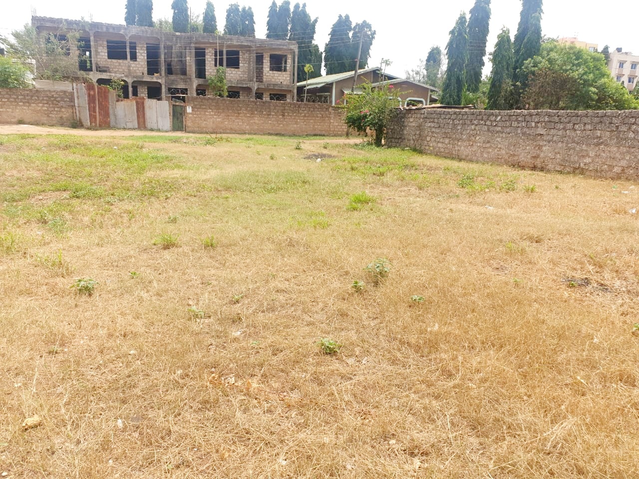 plots-for-sale-Kongowea